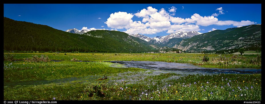 Summer wildflowers and stream in mountain meadow. Rocky Mountain National Park, Colorado, USA.