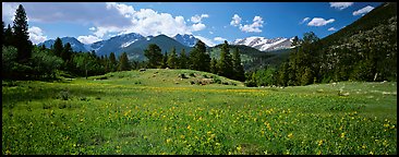 Summer mountain landscape. Rocky Mountain National Park (Panoramic color)