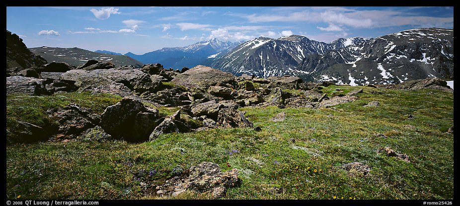 Alpine tundra scenery. Rocky Mountain National Park (color)