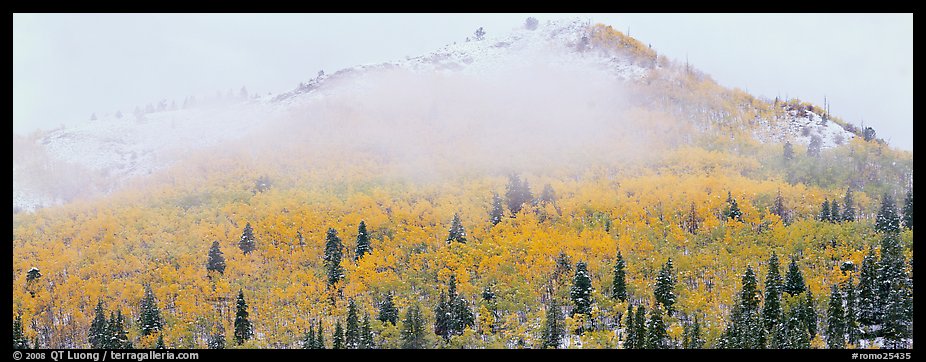 Forest with fall colors and early snow beneath fog-shrouded peak. Rocky Mountain National Park, Colorado, USA.