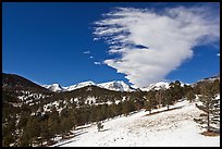 Partly thawed meadow, snowy range, and cloud. Rocky Mountain National Park ( color)