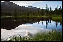 Beaver Pond, Kawuneeche Valley. Rocky Mountain National Park, Colorado, USA. (color)