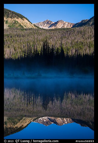Never Summer Mountains reflected in beaver pond. Rocky Mountain National Park, Colorado, USA.