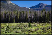 Meadow in Kawuneeche Valley. Rocky Mountain National Park, Colorado, USA. (color)