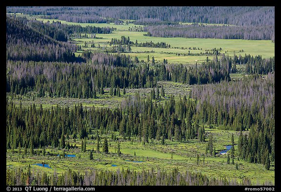 Kawuneeche Valley and Colorado River from above. Rocky Mountain National Park (color)