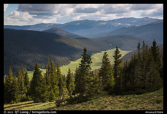 Cache la Poudre River Valley. Rocky Mountain National Park (color)