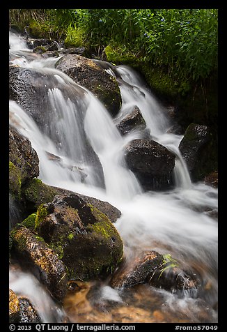 Stream cascading over rocks. Rocky Mountain National Park, Colorado, USA.