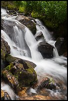 Stream cascading over rocks. Rocky Mountain National Park ( color)