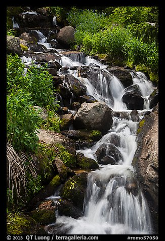 Cascading stream. Rocky Mountain National Park, Colorado, USA.