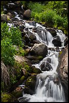 Cascading stream. Rocky Mountain National Park ( color)