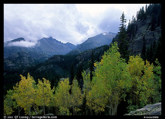Aspens and Glacier basin mountains. Rocky Mountain National Park, Colorado, USA.