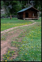Meadow with flowers and historic cabin, Never Summer Ranch. Rocky Mountain National Park, Colorado, USA.
