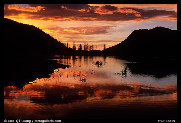 Sunrise on a pond in Horseshoe Park. Rocky Mountain National Park, Colorado, USA.
