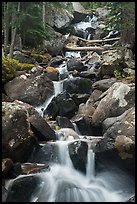Calypo Cascades, Wild Basin. Rocky Mountain National Park ( color)