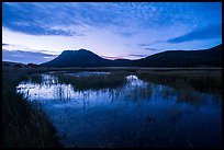 Sheep Lakes at dawn. Rocky Mountain National Park ( color)
