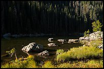 Grasses, boulders, lakeshore, Dream Lake. Rocky Mountain National Park ( color)