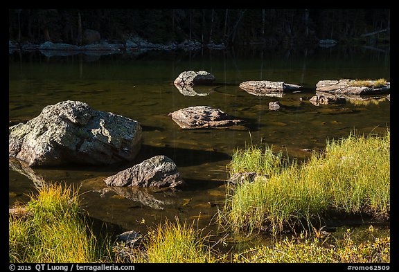 Grasses and boulders, Dream Lake. Rocky Mountain National Park, Colorado, USA.