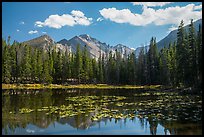 Longs Peak reflected in Nymph Lake. Rocky Mountain National Park ( color)