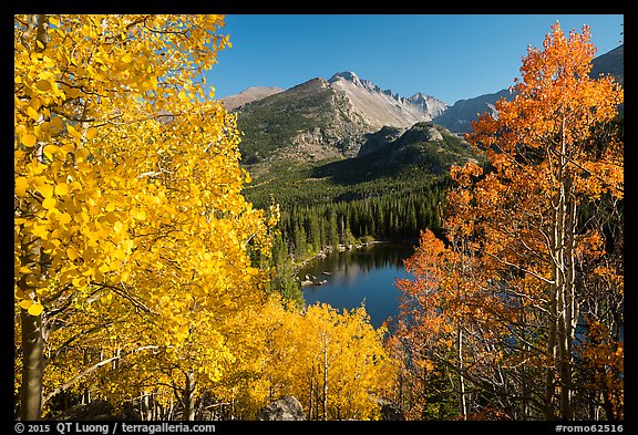 Autumn foliage above Bear Lake. Rocky Mountain National Park, Colorado, USA.