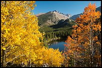 Autumn foliage above Bear Lake. Rocky Mountain National Park ( color)