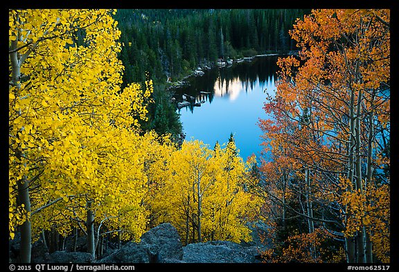 Aspen in autumn foliage and Bear Lake. Rocky Mountain National Park, Colorado, USA.