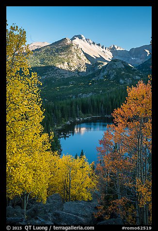 Longs Peaks, Bear Lake, yellow and orange aspens. Rocky Mountain National Park, Colorado, USA.