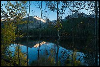 Bear Lakes and Longs Peak through trees with autumn leaves. Rocky Mountain National Park ( color)