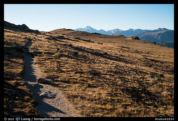 Ute Trail crossing alpine tundra. Rocky Mountain National Park, Colorado, USA.