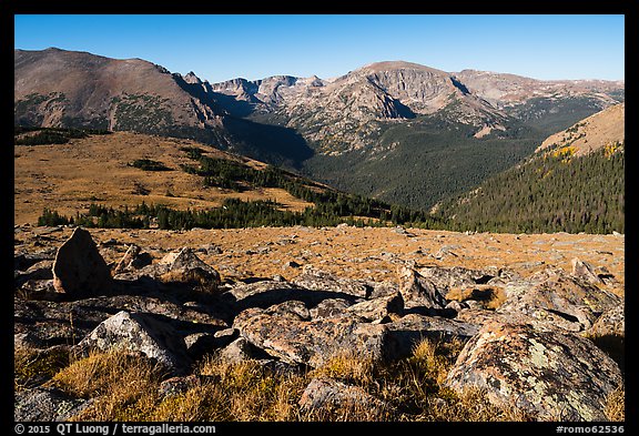 Boulders and Forest Canyon. Rocky Mountain National Park (color)