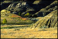 Badlands and prairie in North unit. Theodore Roosevelt National Park, North Dakota, USA.