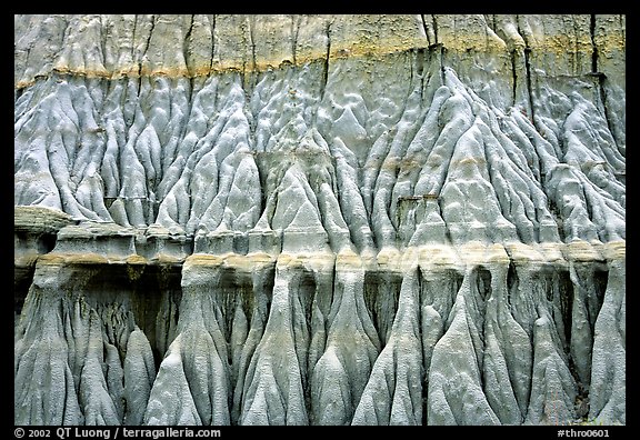 Erosion formations. Theodore Roosevelt  National Park