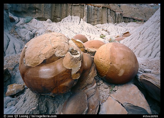 Large cannon ball concretions and badlands. Theodore Roosevelt National Park, North Dakota, USA.