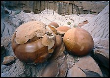 Large cannon ball concretions and badlands. Theodore Roosevelt National Park, North Dakota, USA. (color)