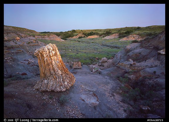 Petrified log stump at dusk, South Unit. Theodore Roosevelt National Park, North Dakota, USA.