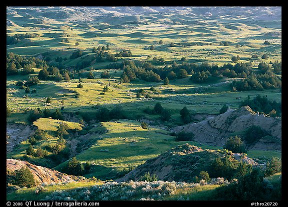 Prairie, trees, and badlands, Boicourt overlook, South Unit. Theodore Roosevelt National Park, North Dakota, USA.