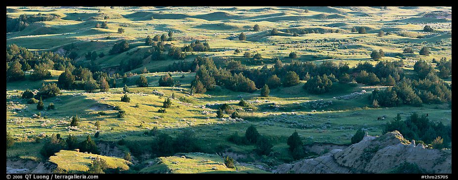 Landscape of prairie, badlands, and trees. Theodore Roosevelt National Park (color)