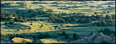 Landscape of prairie, badlands, and trees. Theodore Roosevelt National Park (Panoramic color)