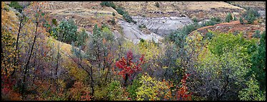 Badlands landscape in autumn. Theodore Roosevelt National Park (Panoramic color)