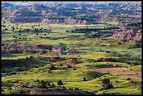 Grasslands and badlands, Painted Canyon. Theodore Roosevelt National Park ( color)