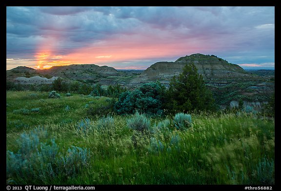 Sunset over grasses and badlands. Theodore Roosevelt National Park (color)