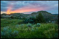 Sunset over grasses and badlands. Theodore Roosevelt National Park ( color)