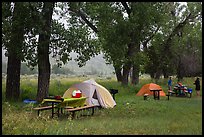 Cottonwood Campground. Theodore Roosevelt National Park, North Dakota, USA. (color)