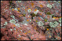Close-up of red rocks with lichen. Theodore Roosevelt National Park ( color)