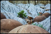 Cannonball concretions on badland folds. Theodore Roosevelt National Park ( color)