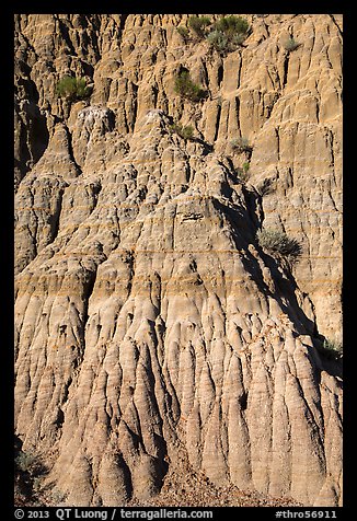Wall with pillars. Theodore Roosevelt National Park, North Dakota, USA.