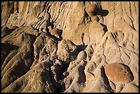 Pictures of Concretions