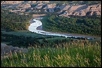 Grasses, Little Missouri river bend and badlands. Theodore Roosevelt National Park ( color)