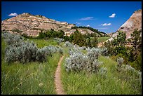 Caprock coulee trail. Theodore Roosevelt National Park ( color)