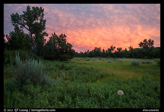 Meadow and colorful sunset clouds, Elkhorn Ranch Unit. Theodore Roosevelt National Park (color)