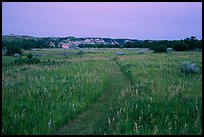 Faint trail at dusk, Elkhorn Ranch Unit. Theodore Roosevelt National Park, North Dakota, USA. (color)